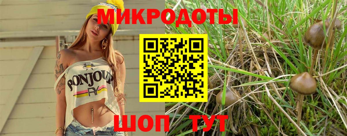 Галлюциногенные грибы мухоморы Лесозаводск